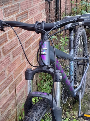 Carrera bike - carrera,