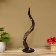 1 Piece Kudu Outer Horn