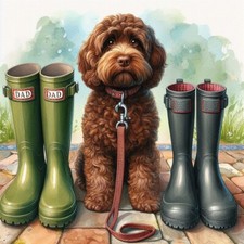  Luxury Chocolate Cockapoo Dad