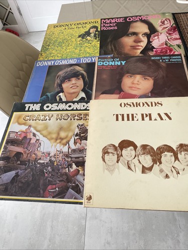 Osmonds donny 1 - x, +