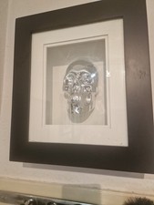 Chrome skull ideally would - ,