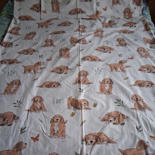 Single reversible cockapoo - reversible,