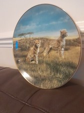 Big Cat (cheetah) Ornamental Plate