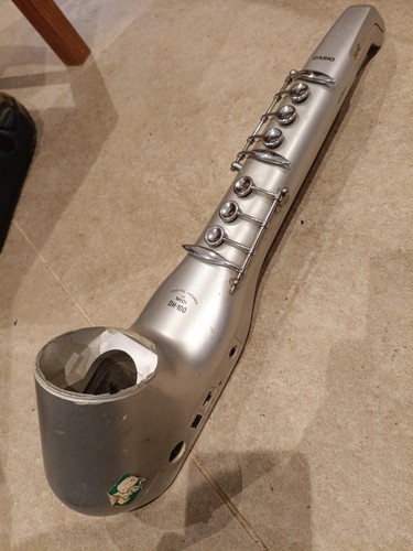 Casio 100 digital - digital, horn