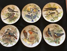 6 Ursula Bands Songbirds Of