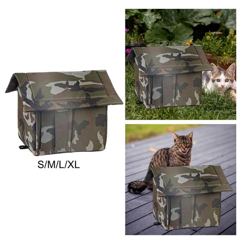 Outdoor feral cats warm house - cats,