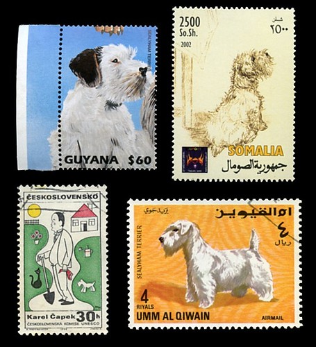 Sealyham terrier dog - sealyham, postage