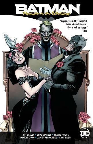 Batman preludes tim - batman, seeley