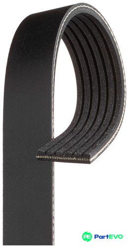 Gates ribbed belt - v-ribbed, 6pk1205xs