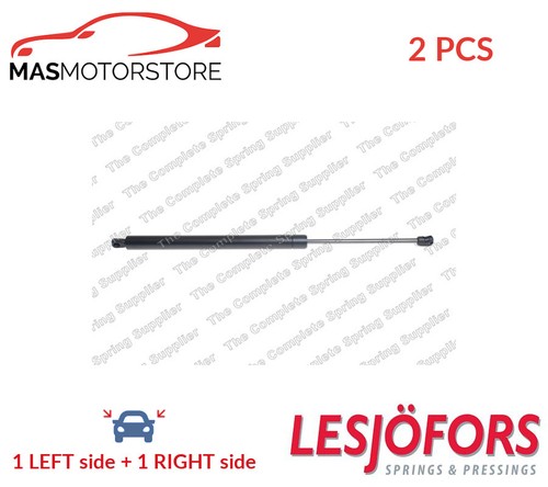 Tailgate boot struts set - boot, rear