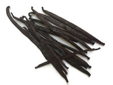 Vanilla Pods PNG Tahitian Gourmet ,Premium Grade, Free UK P&P