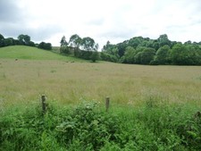 Photo 6x4 Partly-mown meadow, near Hydan-fawr Castle Caereinion Looking s c2016