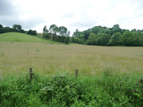 Photo 6x4 partly mown - photo, meadow