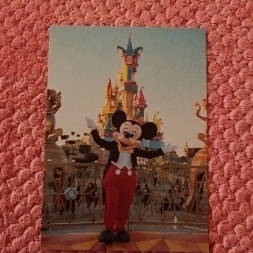 Disneyland paris mickey - disneyland,