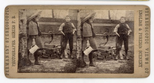 Stereoview stereoscope card - stereoview,