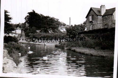 1955 south pool devon ducks - 1955,