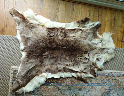 Real reindeer skin - skin, from