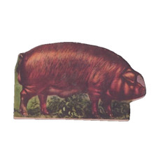 Whitman Educational Graphic