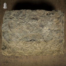 Garden Stone, Large Riven