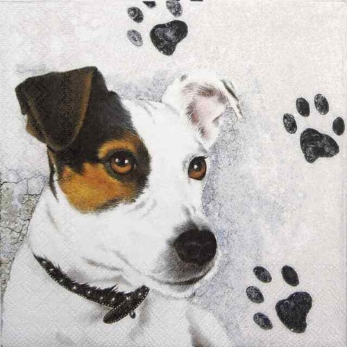 Single paper napkins - 4x,