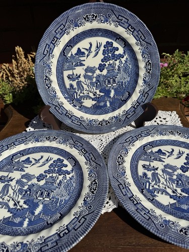 Royal wessex dinner plates - 3,