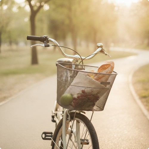 Front bike basket open - bike, top