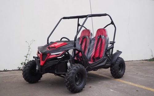 Trailmaster cheetah mid - cheetah,