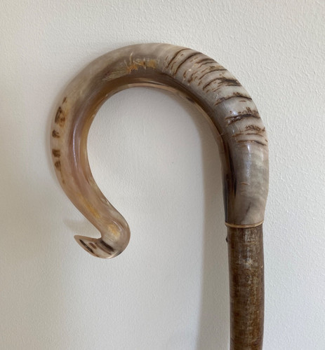 Rams horn crook handle - horn,