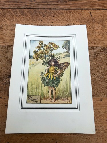 Early 1900s colour print from - colour,