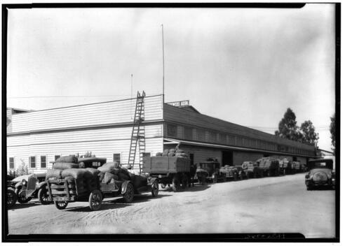 Line trucks loaded - trucks, with