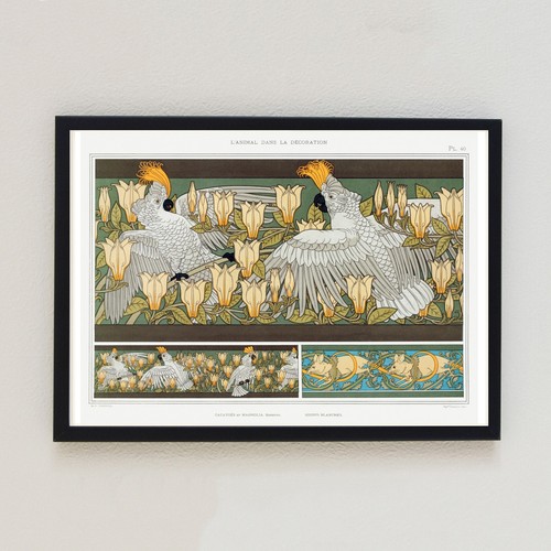 Antique 1897 birds vintage - 1897,