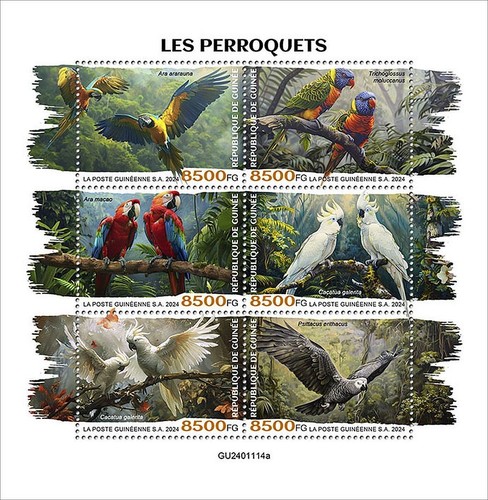 Parrots birds tropical bird - birds,