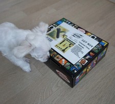 Dog Clipper Set Hair Trimmer