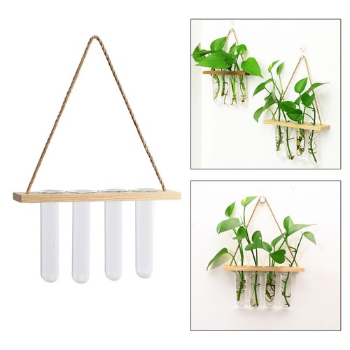Glass ing planter terrarium - glass,