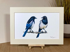 Magpie birds mounted art print