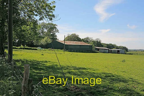 Photo 6x4 smallholding near - photo,