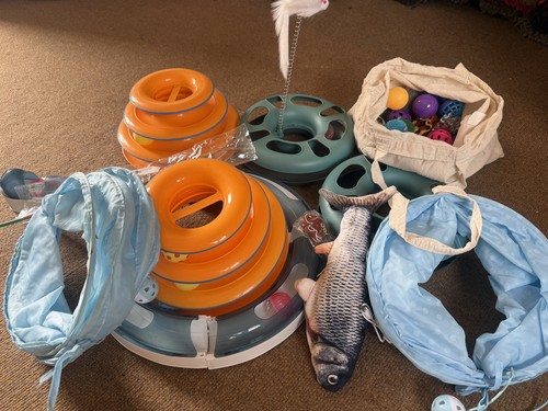Cat toy bundle - cat,