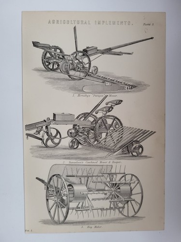 Antique print dated - antique, 1870