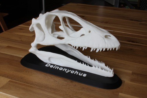Dinosaur skull replica - replica,