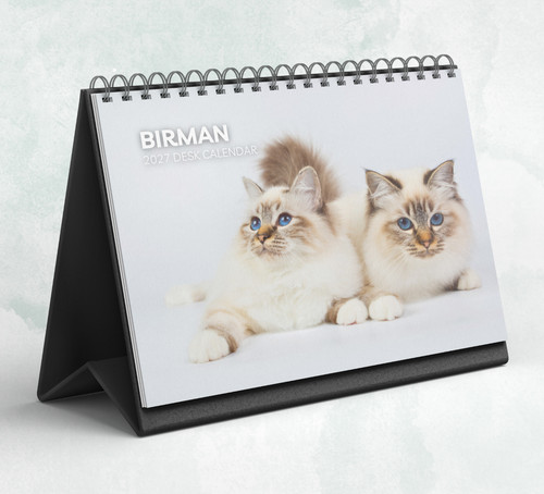 Birman cat desk calendar - birman,