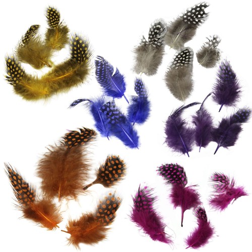 Spotted guinea fowl feathers - fowl,