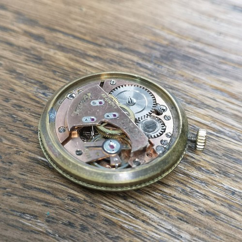 Accurist jewels watch - accurist,
