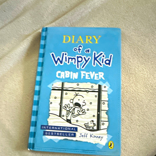 Diary wimpy kid cabin - diary,