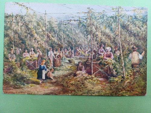 Post card salmon c - card,