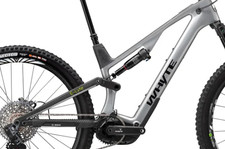 Frame Pivot Bearing Kit |