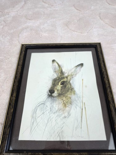 Mads stage hare - hare, framed