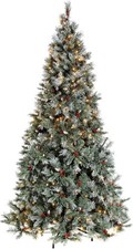 5ft Scandinavian Blue Spruce