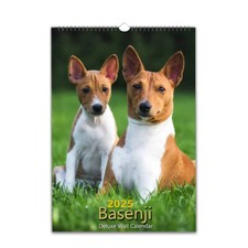 Basenji Dog photo calendar