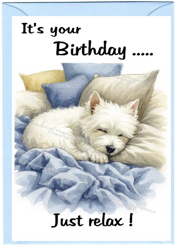 West highland white terrier - highland,