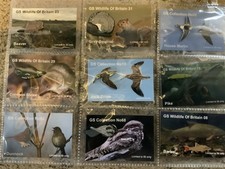 None RSPB Badges GS Collection